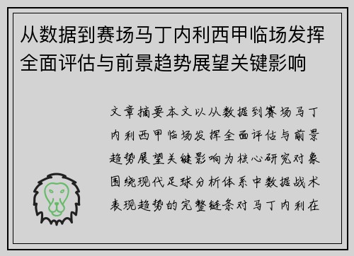 从数据到赛场马丁内利西甲临场发挥全面评估与前景趋势展望关键影响